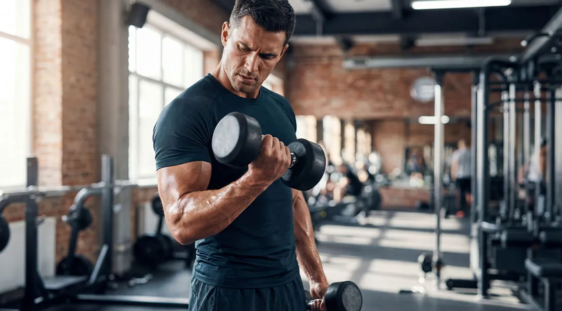 6 day gym workout schedule